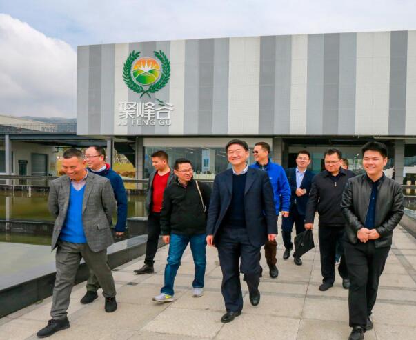 集团党委书记、董事长任丁率队调研聚峰谷