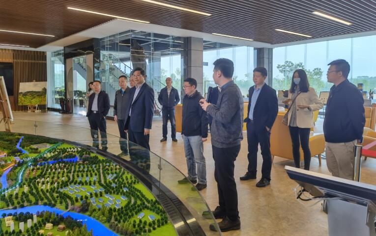 广西旅发集团党委书记、董事长容贤标考察集团文旅项目