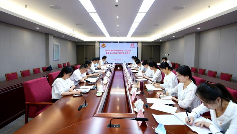 尊龙凯时集团党委书记、董事长任丁参加总部第一党支部党史学习教育专题组织生活会