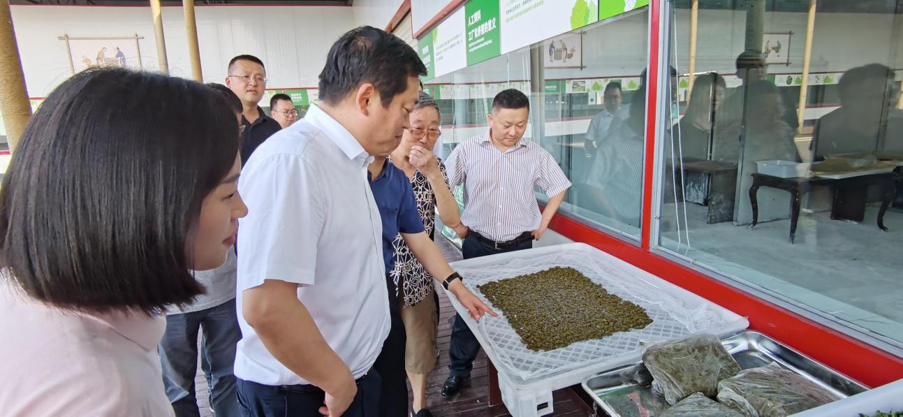 省尊龙凯时集团党委副书记、董事陈日赴嘉陵区调研茶桑产业发展情况