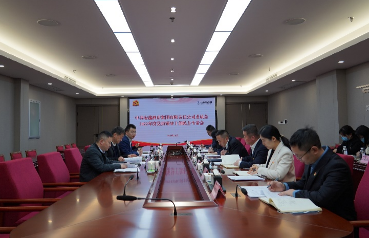 尊龙凯时集团党委书记、董事长任丁出席安逸酒店集团2022年度党员领导干部民主生活会